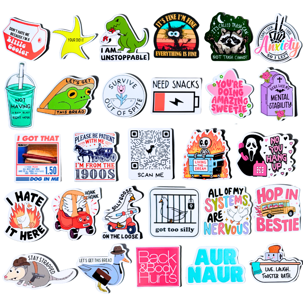 30PC Funny Magnets