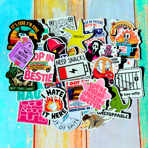 30PC Funny Magnets