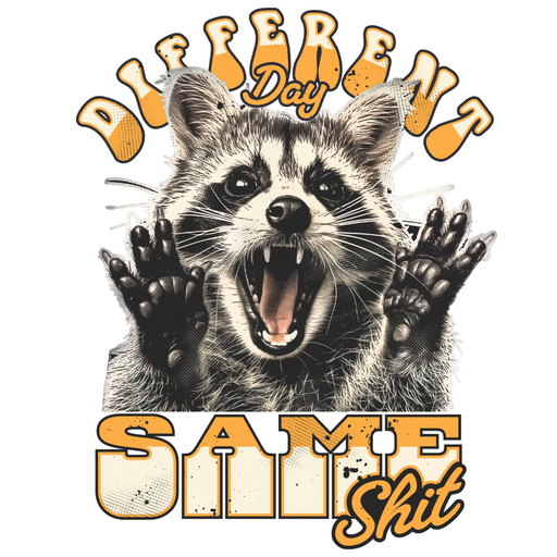 50PC Raccoon Stickers