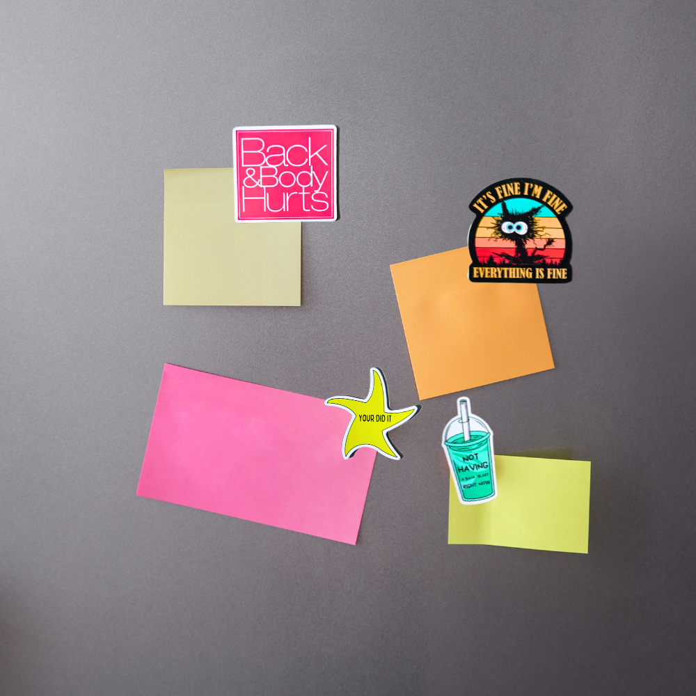 30PC Funny Magnets
