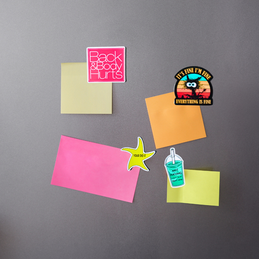 30PC Funny Magnets