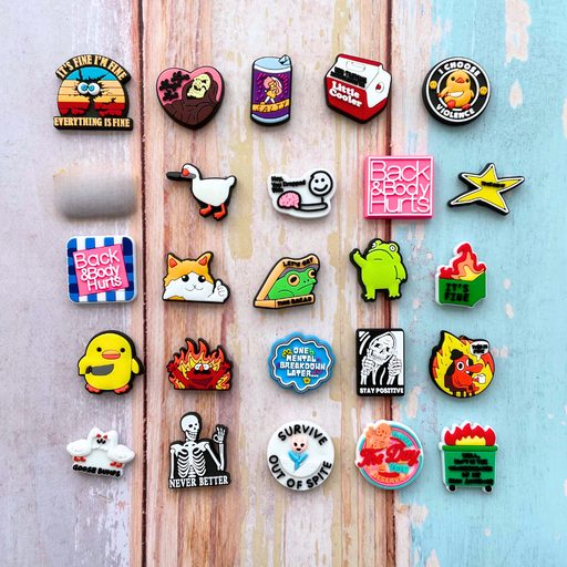 25PC  Funny Charm Magnets